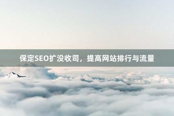 保定SEO扩没收司，提高网站排行与流量