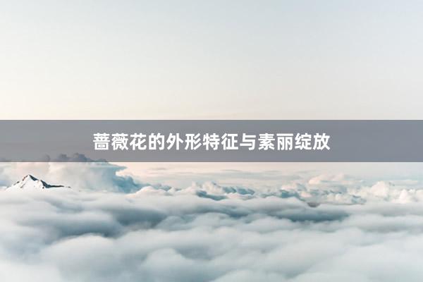 蔷薇花的外形特征与素丽绽放