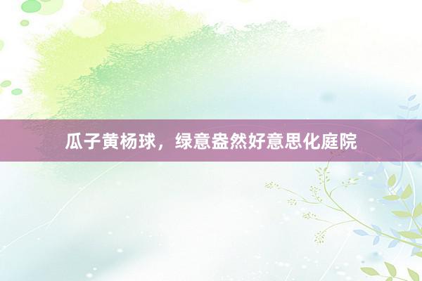 瓜子黄杨球,绿意盎然好意思化庭院