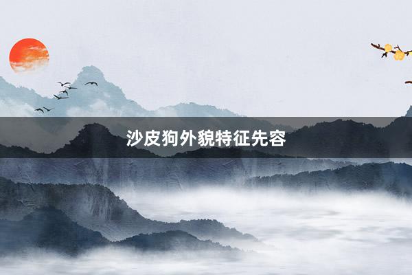 沙皮狗外貌特征先容
