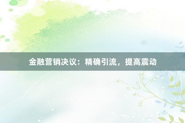 金融营销决议：精确引流，提高震动